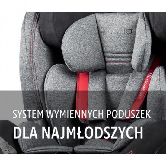 Автокресло Coletto IMPERO ISOFIX Navy